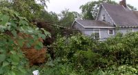 Cleanup underway after storm rips through Warrenville