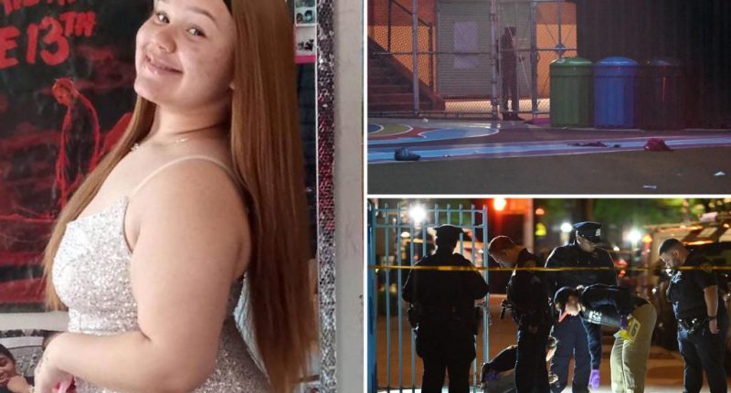 Cops bust boy, 14, for handing teen the gun used in fatal shooting of innocent girl in Bronx schoolyard: sources