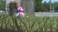 Councilman calls for urgent safety upgrades after father and son killed on Baymeadows Road