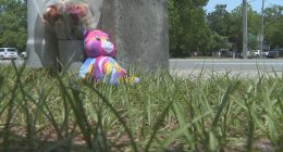 Councilman calls for urgent safety upgrades after father and son killed on Baymeadows Road