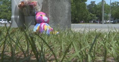 Councilman calls for urgent safety upgrades after father and son killed on Baymeadows Road