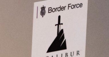 Border Force Excalibur logo.