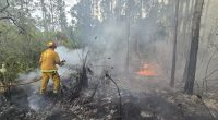 Crews battling 15-acre brush fire near Lake Harney, officials say