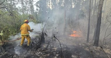 Crews battling 15-acre brush fire near Lake Harney, officials say