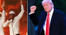 Cruel irony for pro-Trump Cuban rapper... as ICE circles
