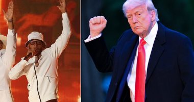 Cruel irony for pro-Trump Cuban rapper... as ICE circles