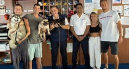 A cruise ship has rescued four people stranded on a disabled boat off the coast of New Caledonia.Carnival Splendor plucked the sailors and their three dogs from the catamaran in the South Pacific on Thursday.