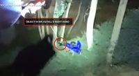 Dad shot by cop as he held baby under arm headed to prison