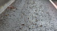 The steel fragments on the side of the road on the M1.