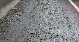 The steel fragments on the side of the road on the M1.