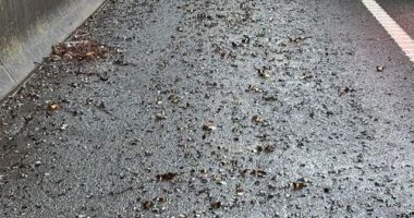 The steel fragments on the side of the road on the M1.