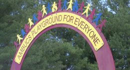 Danville Park sees three fires in one night