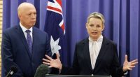 Liberal deputy leader Sussan Ley speaking at Parliament House in Canberra.
