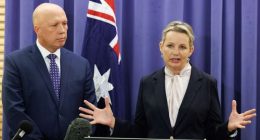 Liberal deputy leader Sussan Ley speaking at Parliament House in Canberra.
