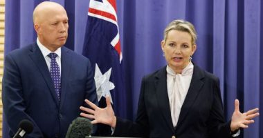 Liberal deputy leader Sussan Ley speaking at Parliament House in Canberra.