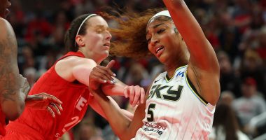Dave Portnoy blasts WNBA 'morons' as racism probe fails to prove Caitlin Clark fans abused Angel Reese