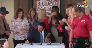 DeSantis signs major animal and firearm laws in Florida