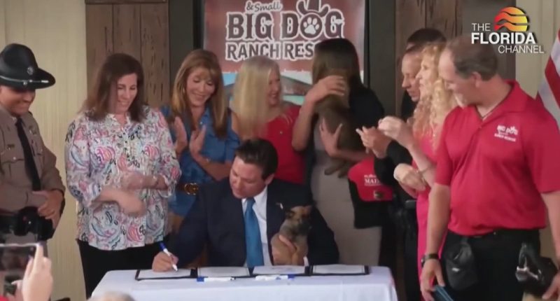 DeSantis signs major animal and firearm laws in Florida