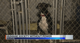 Decatur organizations recovering from severe weather