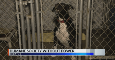 Decatur organizations recovering from severe weather