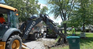 Decatur sets starting date for tree debris cleanup