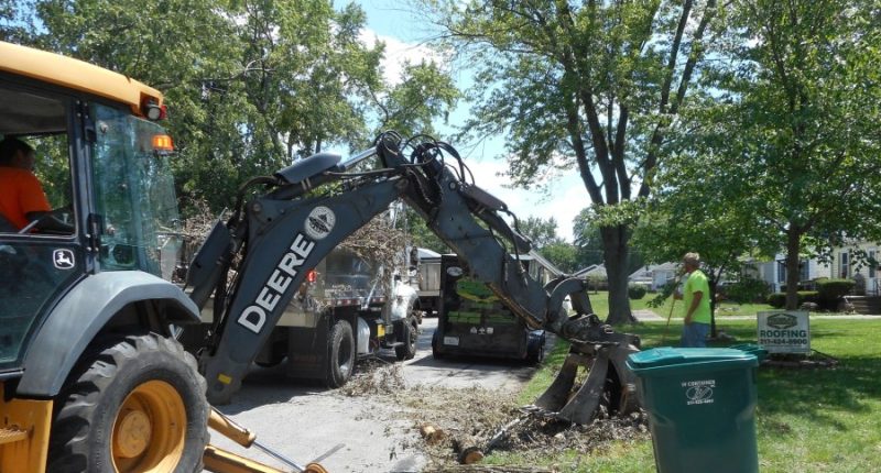 Decatur sets starting date for tree debris cleanup