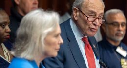 Democrats are deeply pessimistic about the future of their party, an AP-NORC poll finds