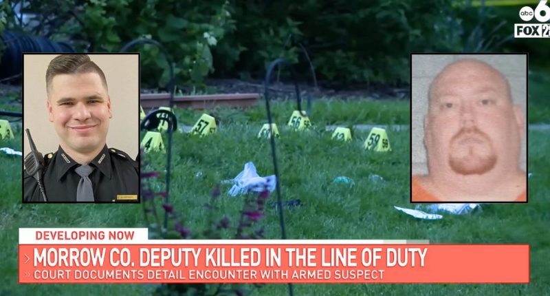 Deputy killed by man during domestic violence call: Police