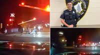 Dramatic video shows hero cops drag dazed driver from car before train smashes into it