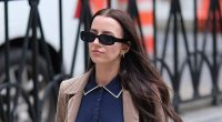 Elon Musk faces off with Ashley St. Clair in court over custody
