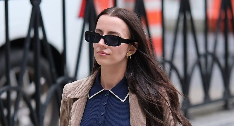 Elon Musk faces off with Ashley St. Clair in court over custody