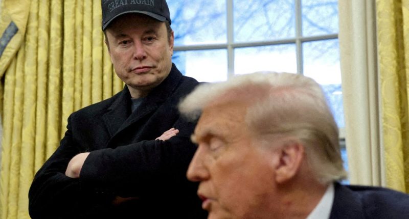 Elon Musk ‘took so much ketamine on campaign trail it affected his bladder… as Tesla boss also used ecstasy & mushrooms’