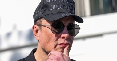 Elon Musk's failure triggers phenomenon that's never been seen before