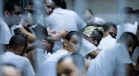 Emerging Venezuelan gang 'more violent' than Tren de Aragua targets rural America, expert warns