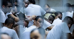 Emerging Venezuelan gang 'more violent' than Tren de Aragua targets rural America, expert warns