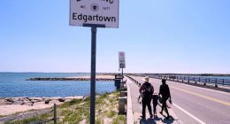 Endurance athlete to swim around Martha’s Vineyard to change public perception of sharks