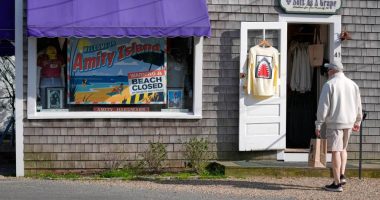 Endurance athlete to swim around Martha’s Vineyard to change public perception of sharks