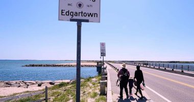 Endurance athlete to swim around Martha’s Vineyard to change public perception of sharks