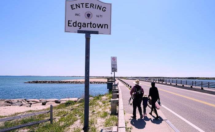 Endurance athlete to swim around Martha’s Vineyard to change public perception of sharks
