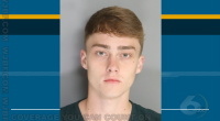 Estimated $500,000 in drugs seized in Aiken County, arrest made