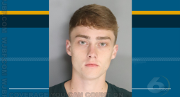 Estimated $500,000 in drugs seized in Aiken County, arrest made