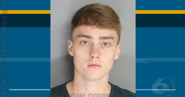 Estimated $500,000 in drugs seized in Aiken County, arrest made