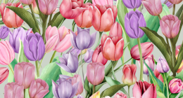 Illustration of pink and purple tulips.