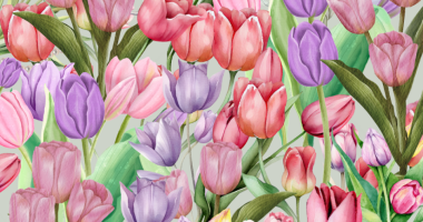 Illustration of pink and purple tulips.