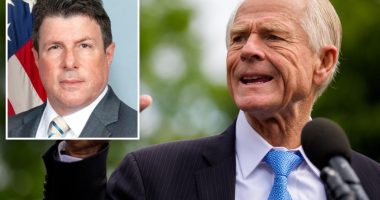 Ex-FBI agent involved in Hunter Biden, Trump probes celebrated Peter Navarro's 2022 indictment: âWow. Greatâ
