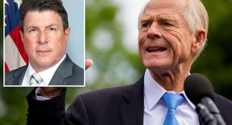 Ex-FBI agent involved in Hunter Biden, Trump probes celebrated Peter Navarro's 2022 indictment: âWow. Greatâ