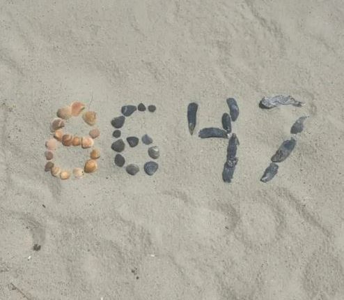 Seashells arranged to form the number 8647 in the sand.