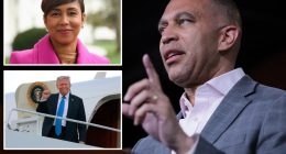 Ex-Pelosi aide accuses Hakeem Jeffries of 'squandering' anti-Trump opportunities in stunning rebuke