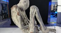 Experts studying 'alien mummies' in Peru make startling find