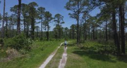 Exploring the Guana River Preserve ahead of land swap vote